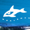 Whaleman Foundation