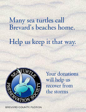 Sea Turtle Preservation Society