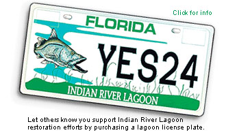 Indian River Lagoon License Plate
